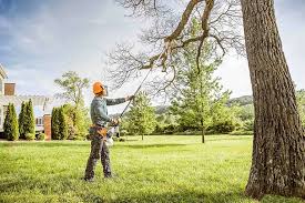  Laguna Woods, CA Tree Services Pros